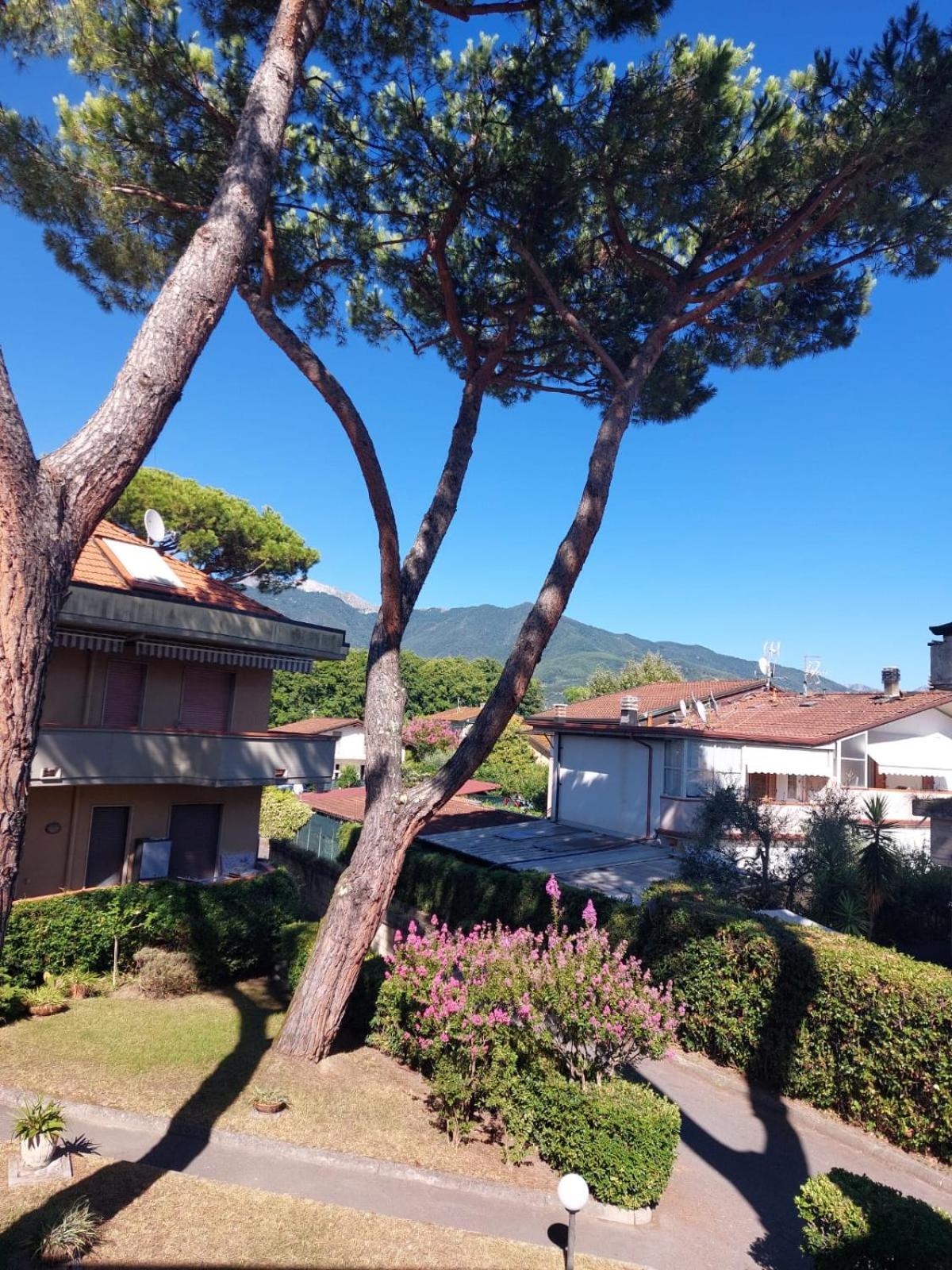 Appartamento Al Mare Di Liguria E Toscana Marina di Massa Eksteriør billede